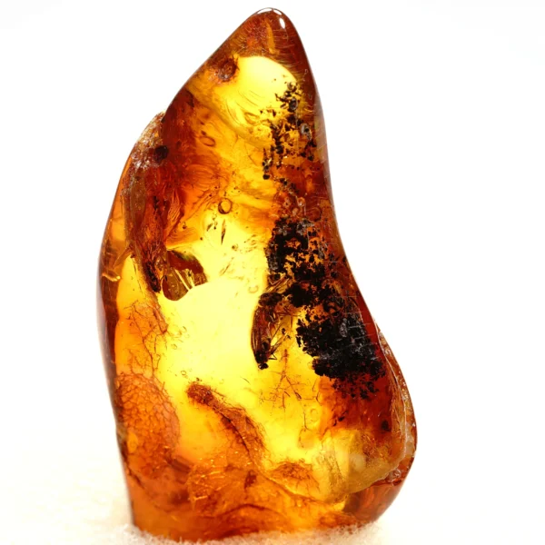 Natūralaus Baltijos gintaras su musėmis