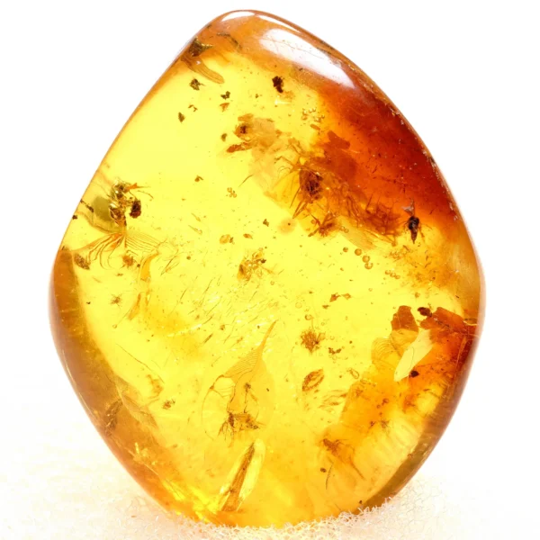 Alternative view of Inkliuzas "Užrakintas laike" -128-