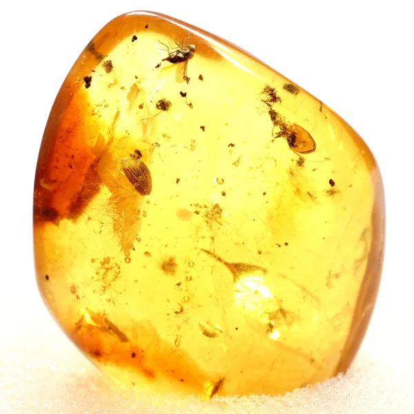 Natūralaus Baltijos gintaras su muse, skruzdėle ir uodais
