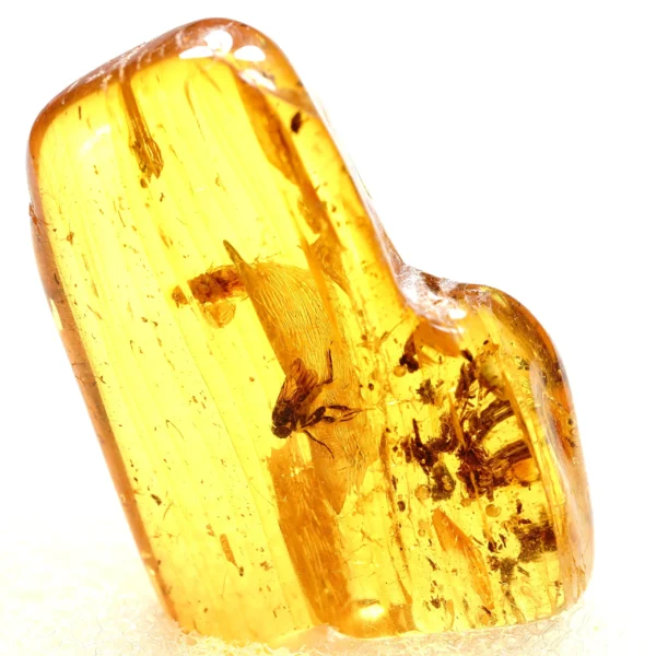 Alternative view of Inkliuzas "Užrakintas laike" -130-