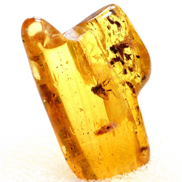 Natūralaus Baltijos gintaras su muse