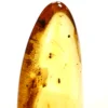 gintaro inkliuzas