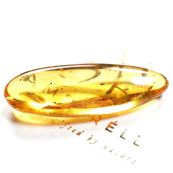 Natūralaus Baltijos gintaras su uodais