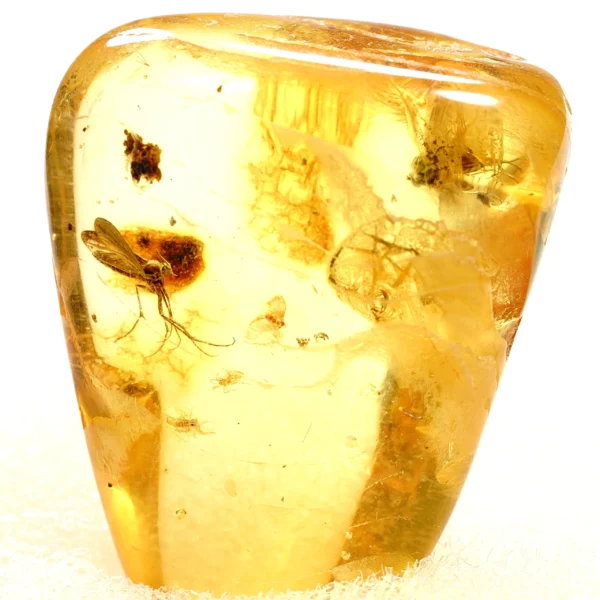 Alternative view of Inkliuzas "Užrakintas laike" -132-