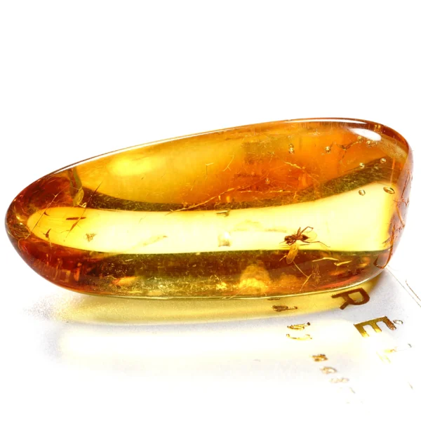 Natūralaus Baltijos gintaras su skraidančia skruzdėle