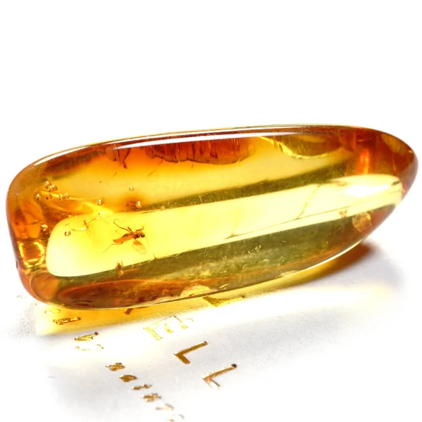 Natūralaus Baltijos gintaras su skraidančia skruzdėle