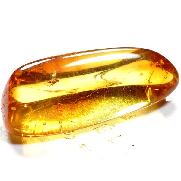 Natūralaus Baltijos gintaras su skraidančia skruzdėle