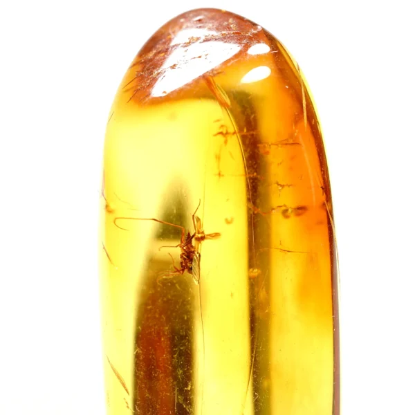 Alternative view of Inkliuzas "Užrakintas laike" -133-