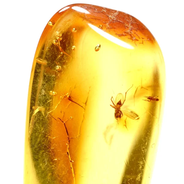 Natūralaus Baltijos gintaras su skraidančia skruzdėle