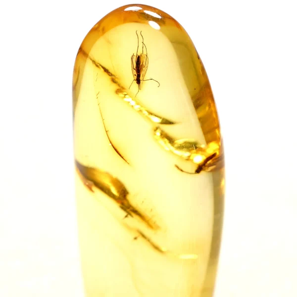 Natūralaus Baltijos gintaras su uodais