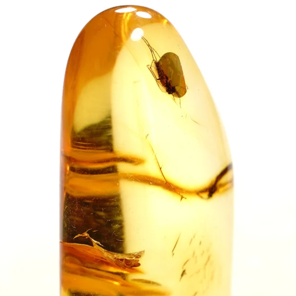 Natūralaus Baltijos gintaras su uodais