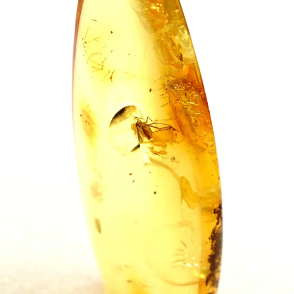 Alternative view of Inkliuzas "Užrakintas laike" -135-