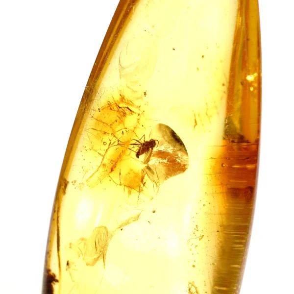 Natūralaus Baltijos gintaras su plėšriamuse