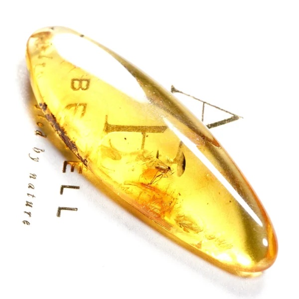 Natūralaus Baltijos gintaras su plėšriamuse
