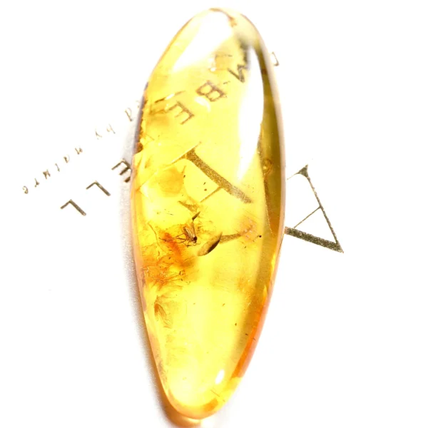 Natūralaus Baltijos gintaras su plėšriamuse