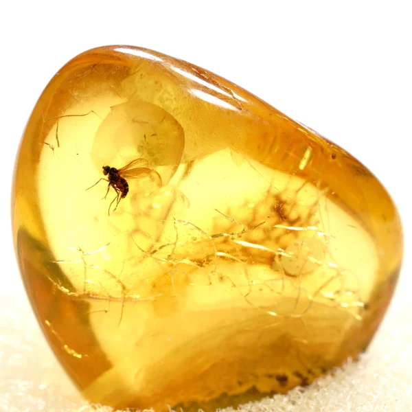 Natūralaus Baltijos gintaras su muse