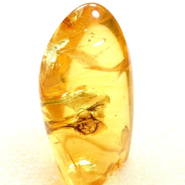 Alternative view of Inkliuzas "Užrakintas laike" -137-