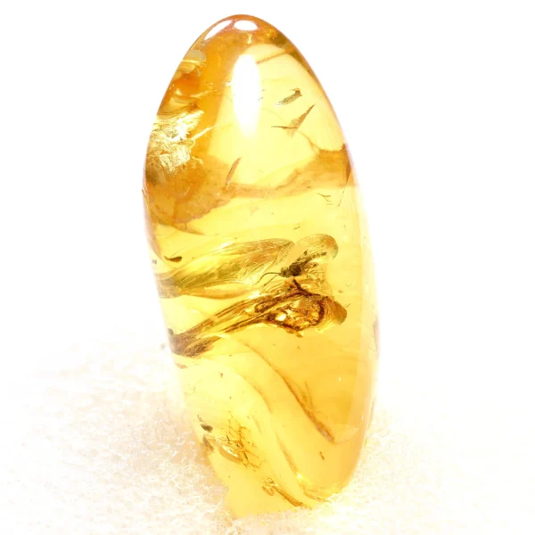 Natūralaus Baltijos gintaras su uodine muse