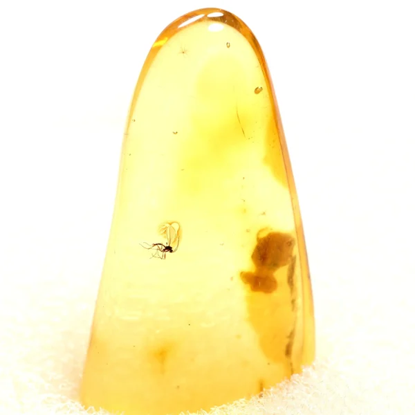 Alternative view of Inkliuzas "Užrakintas laike" -138-