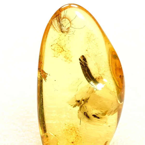 Natūralaus Baltijos gintaras su uodu