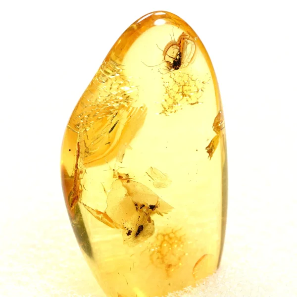 Alternative view of Inkliuzas "Užrakintas laike" -139-