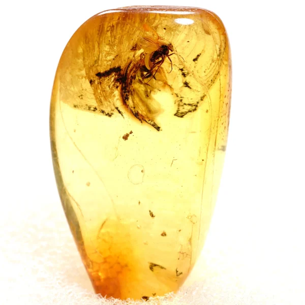 Natūralaus Baltijos gintaras su muse