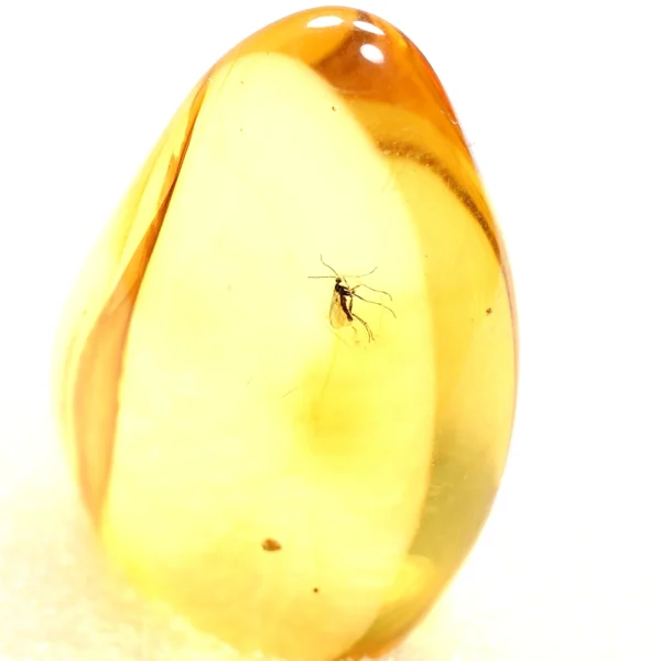 Alternative view of Inkliuzas "Užrakintas laike" -142-