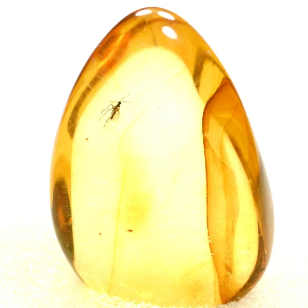 Natūralaus Baltijos gintaras su uodine muse