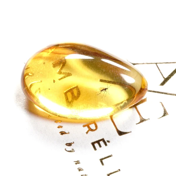 Natūralaus Baltijos gintaras su uodine muse