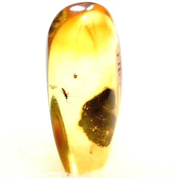 Natūralaus Baltijos gintaras su vabzdžiu