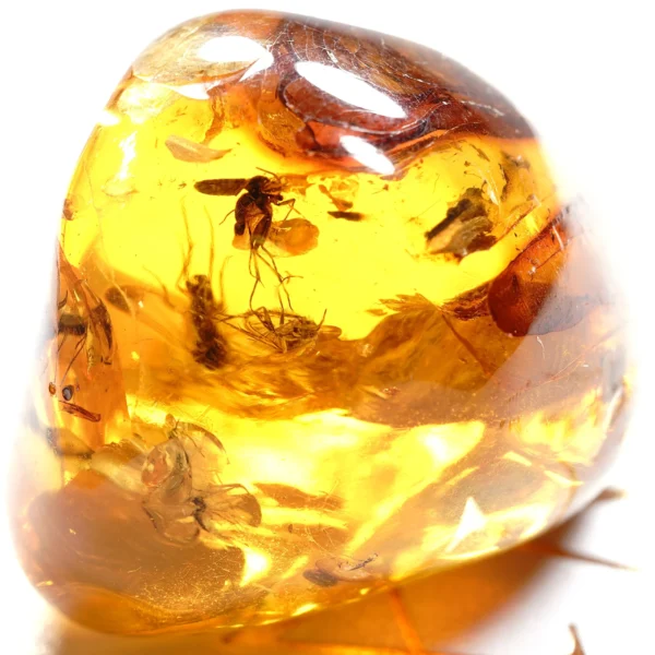 Alternative view of Inkliuzas "Užrakintas laike" -145-