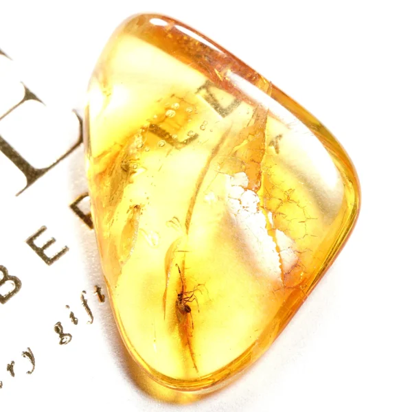 Natūralaus Baltijos gintaras su uodais