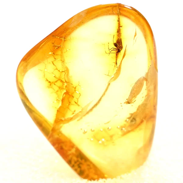 Alternative view of Inkliuzas "Užrakintas laike" -148-