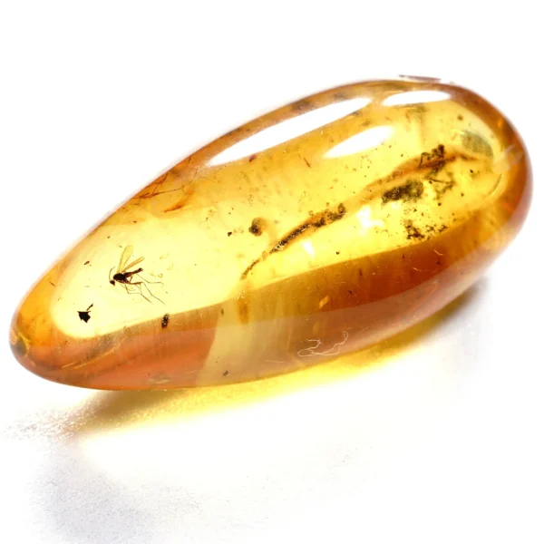 Alternative view of Inkliuzas "Užrakintas laike" -149-