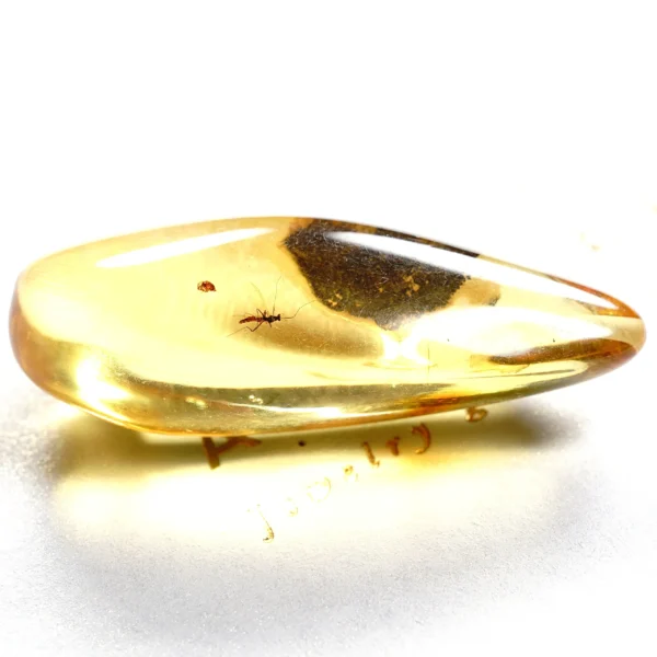 Alternative view of Inkliuzas "Užrakintas laike" -150-