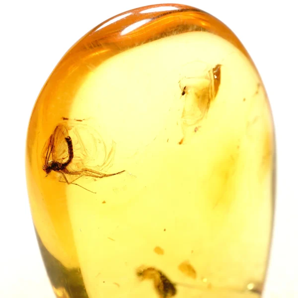 Alternative view of Inkliuzas "Užrakintas laike" -152-