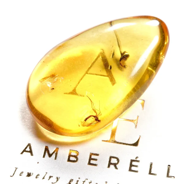 Natūralaus Baltijos gintaras su uodu