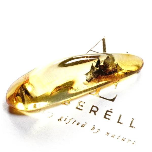 Natūralaus Baltijos gintaras su muse