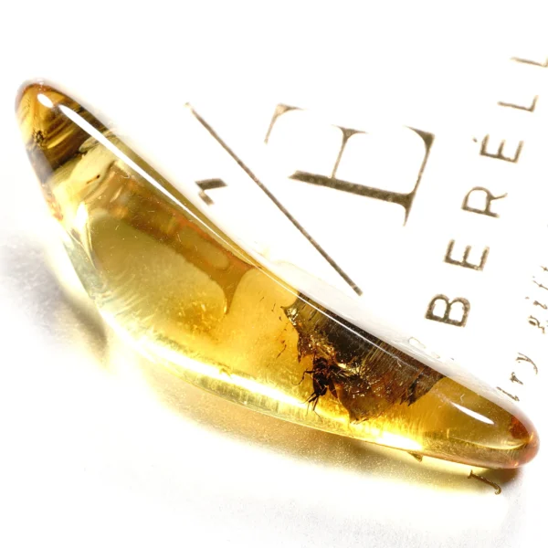 Natūralaus Baltijos gintaras su muse