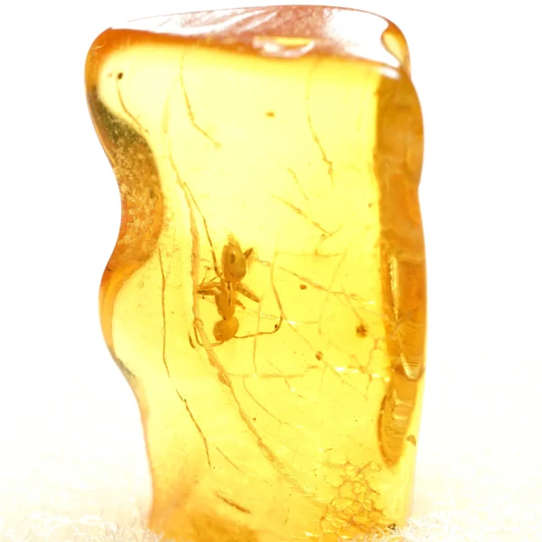 Natūralaus Baltijos gintaras su skruzdėle