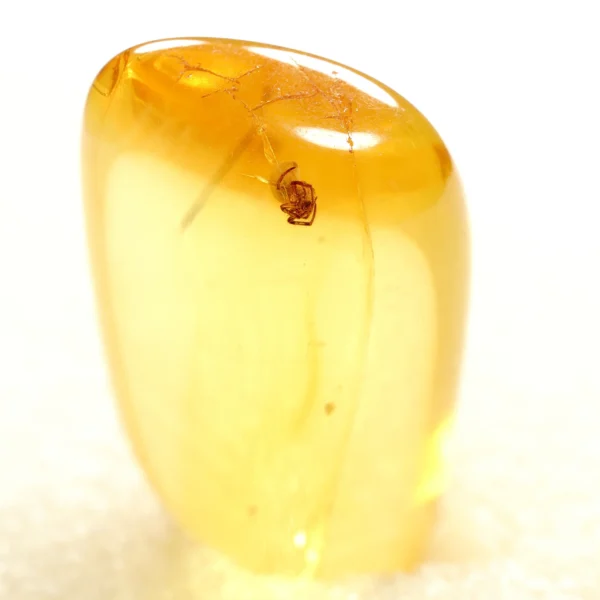 Natūralaus Baltijos gintaras su voru