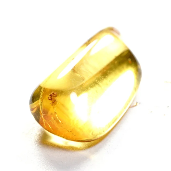 Natūralaus Baltijos gintaras su voru