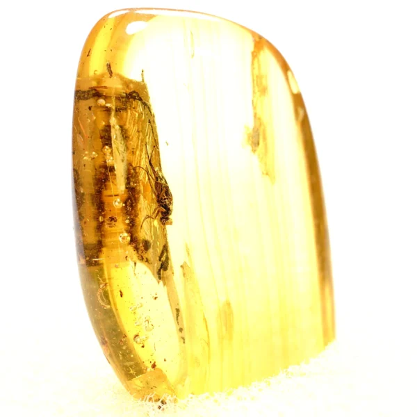 Natūralaus Baltijos gintaras su muse