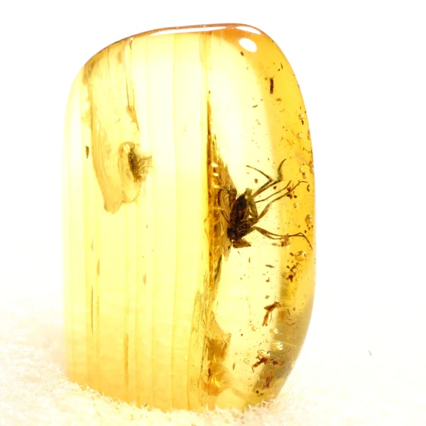 Alternative view of Inkliuzas "Užrakintas laike" -158-