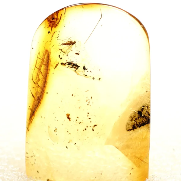 Alternative view of Inkliuzas "Užrakintas laike" -159-