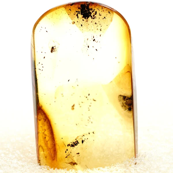 Natūralaus Baltijos gintaras su uodine muse