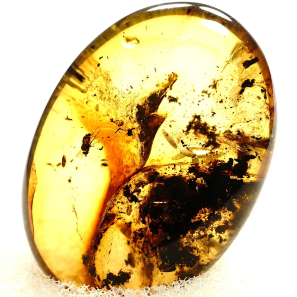 Alternative view of Inkliuzas "Užrakintas laike" -160-