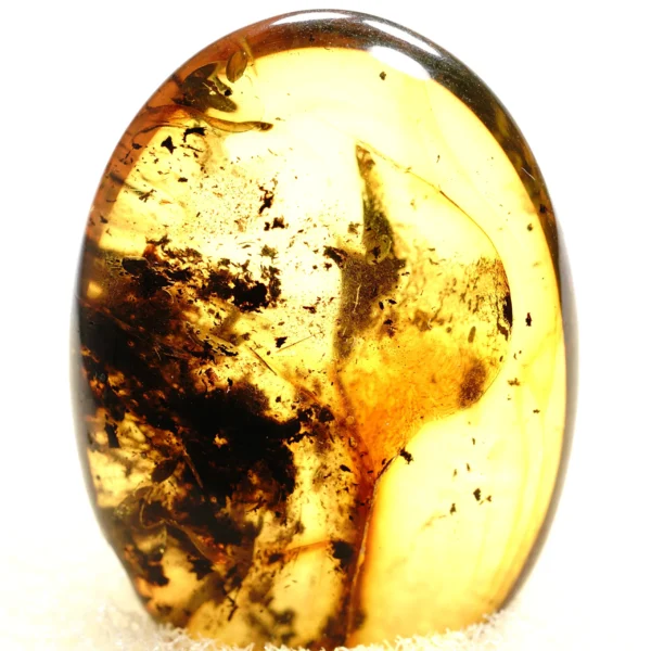 Natūralaus Baltijos gintaras su skruzdėle ir uodu