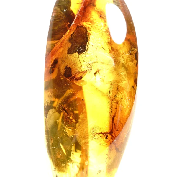 Alternative view of Inkliuzas "Užrakintas laike" -161-