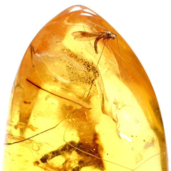 Alternative view of Inkliuzas "Užrakintas laike" -162-